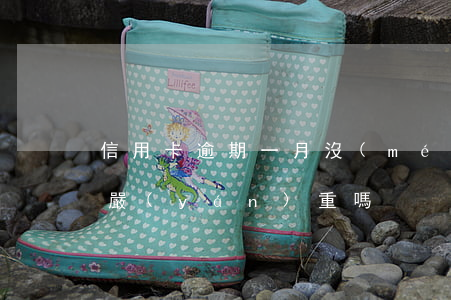 信用卡逾期一月沒(méi)事吧？影響嚴(yán)重嗎？
